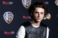 Timothée Chalamet in 2023 (Image via Getty)
